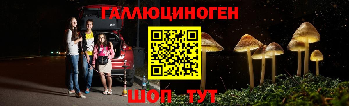 Галлюциногенные грибы прущие грибы  Вход с VPN  Тверь 